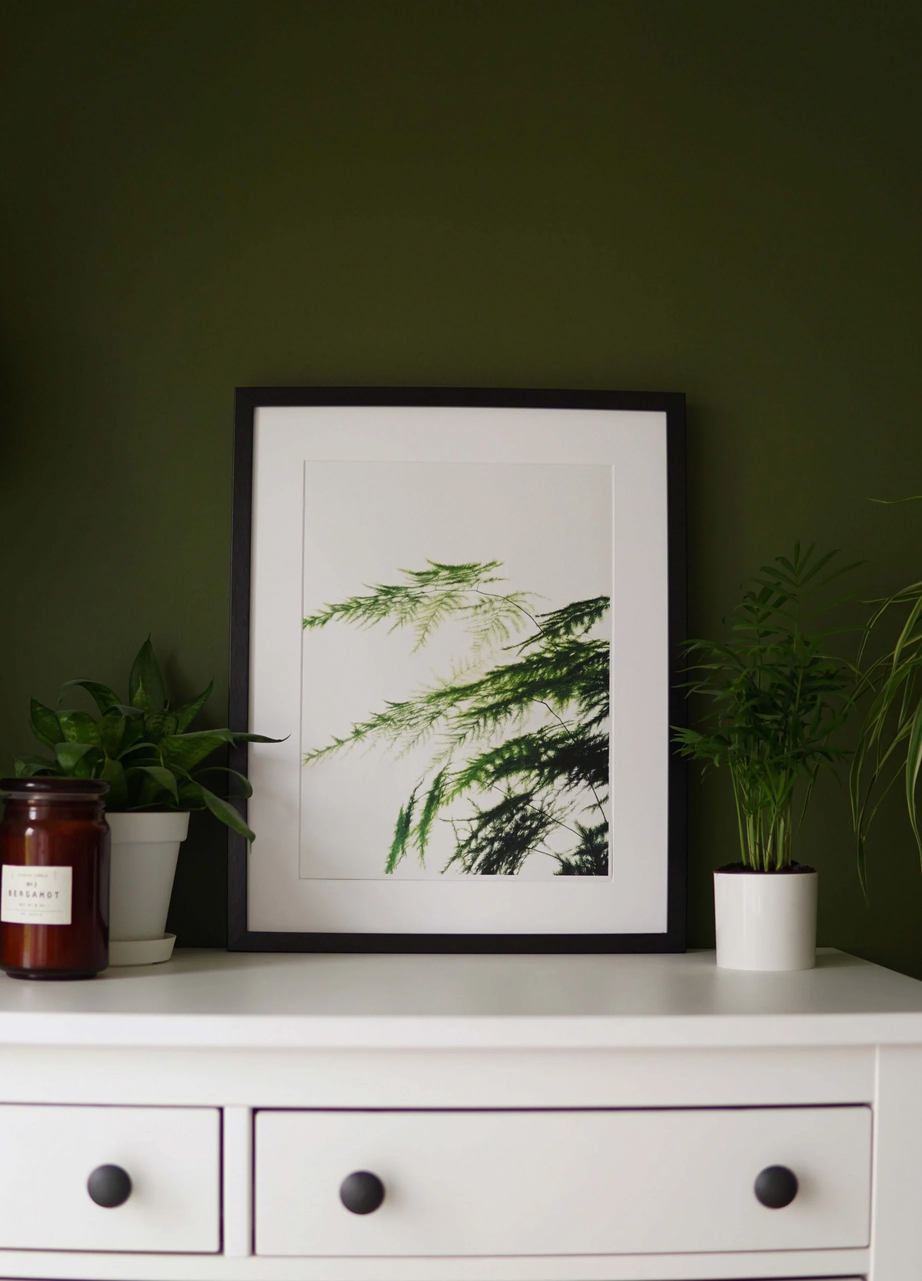 Ieva Kampe-Krumholca Plakāts "ASPARĀGS"