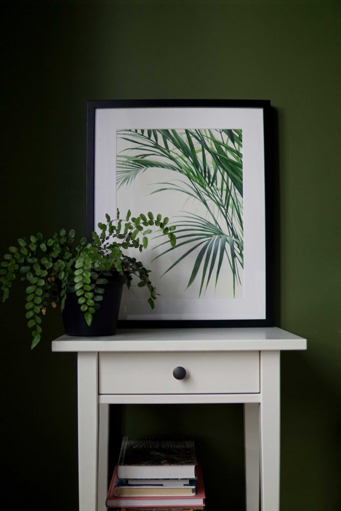 Botanical watercolour poster print Bamboo palm No. 2