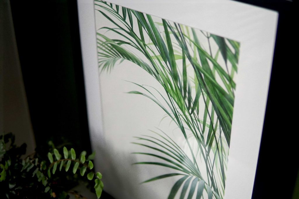 Botanical watercolour poster print Bamboo palm No. 2Botanical watercolour poster print Bamboo palm No. 2
