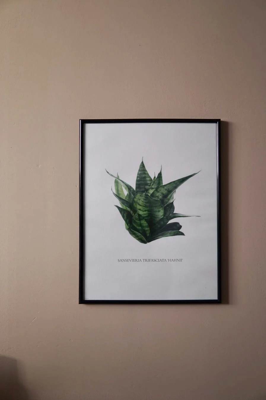 Botanical watercolour poster print BENT - M50