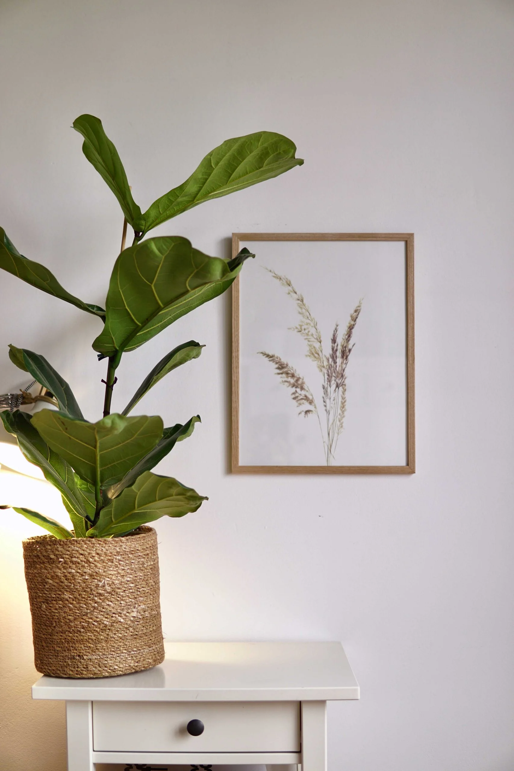 Ieva Kampe-Krumholca Plakāts "Smilgas"