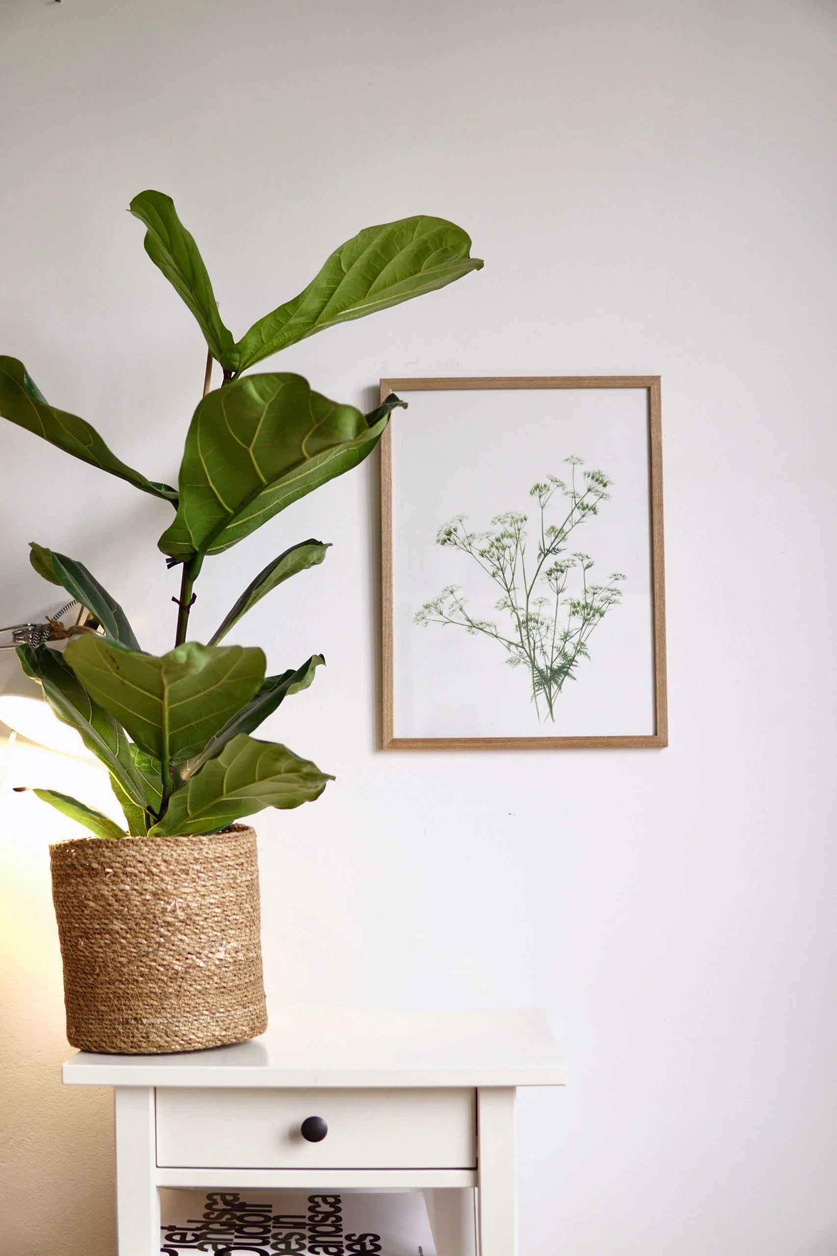 Ieva Kampe-Krumholca Plakāts "Suņuburkšķis" Ieva Kampe-Krumholca Plakāts "Suņuburkšķis"