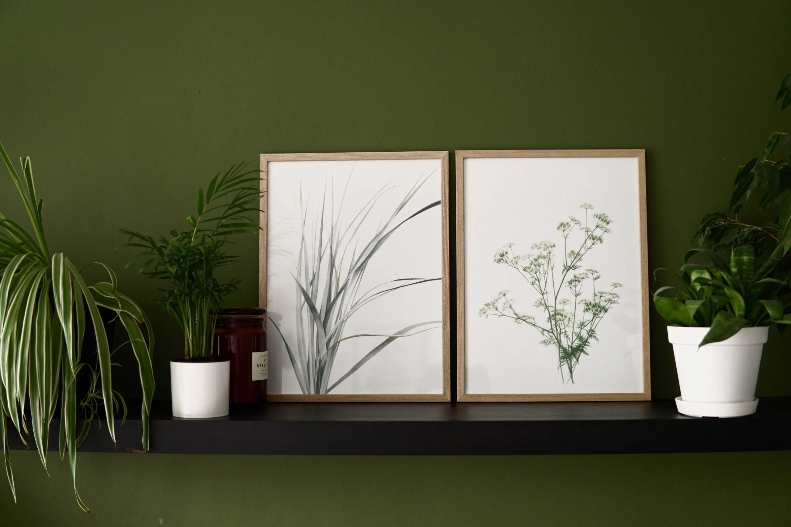 Ieva Kampe-Krumholca Plakāts "Suņuburkšķis" Ieva Kampe-Krumholca Plakāts "Suņuburkšķis"