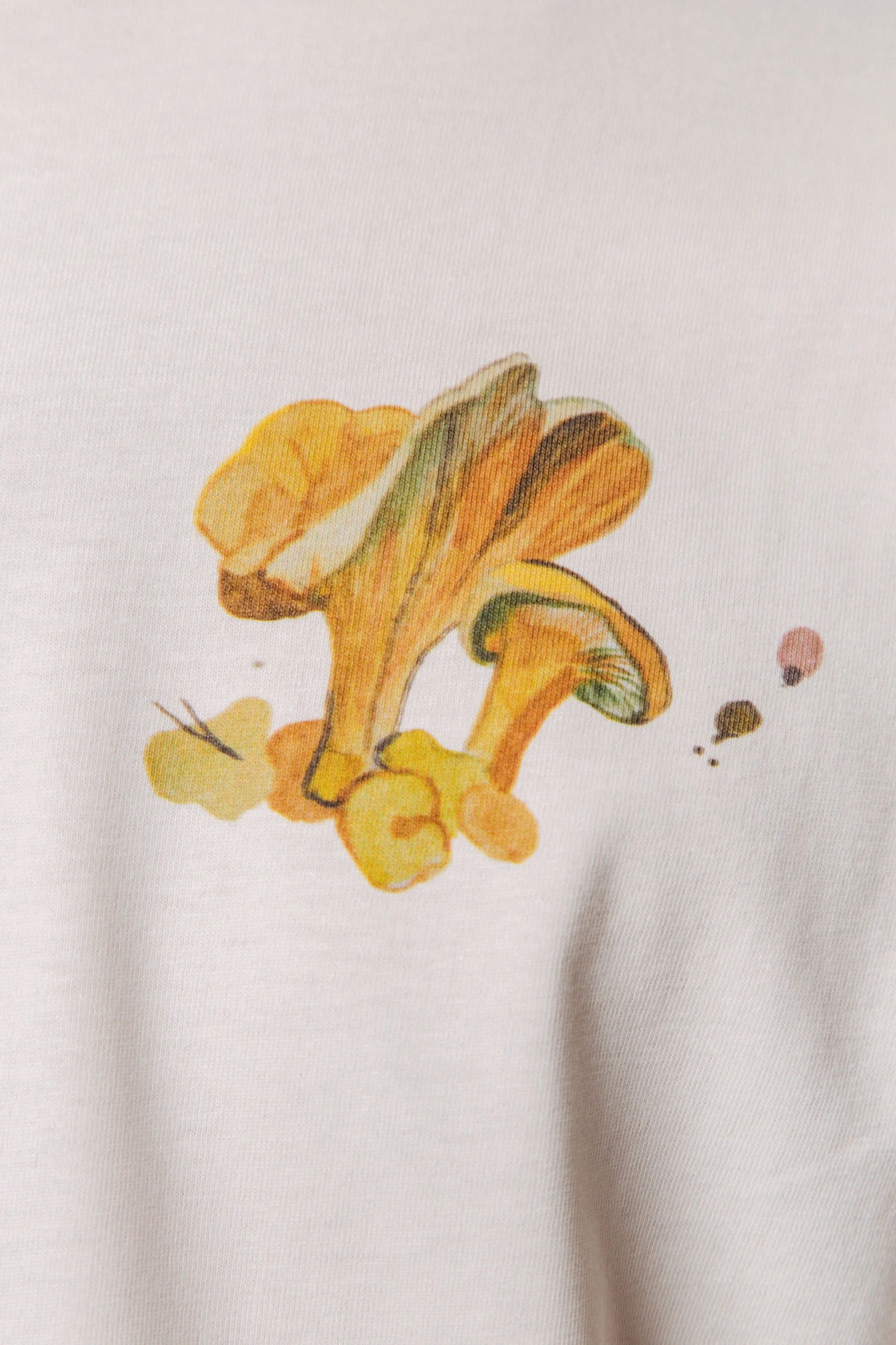 M50 x Zane Veldre Organiskas kokvilnas t-krekls GAILENES