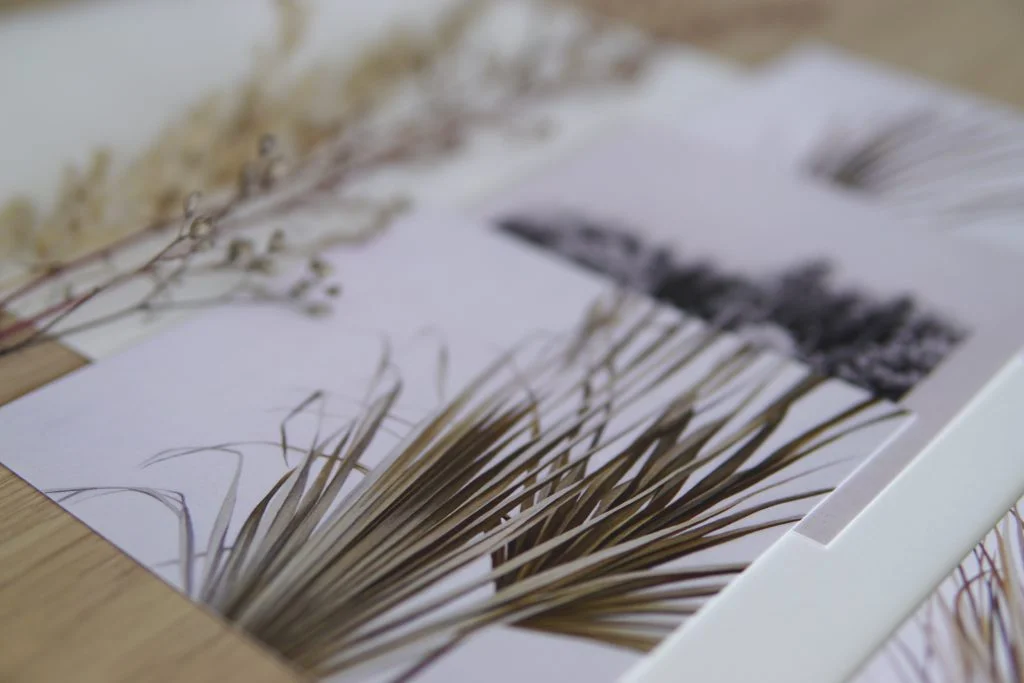 Ieva Kampe Krumholca - Kartīšu komplekts “MAN NEPATĪK ZAĻŠ”umholca Botanical paintings - graphical greeting card set of 5