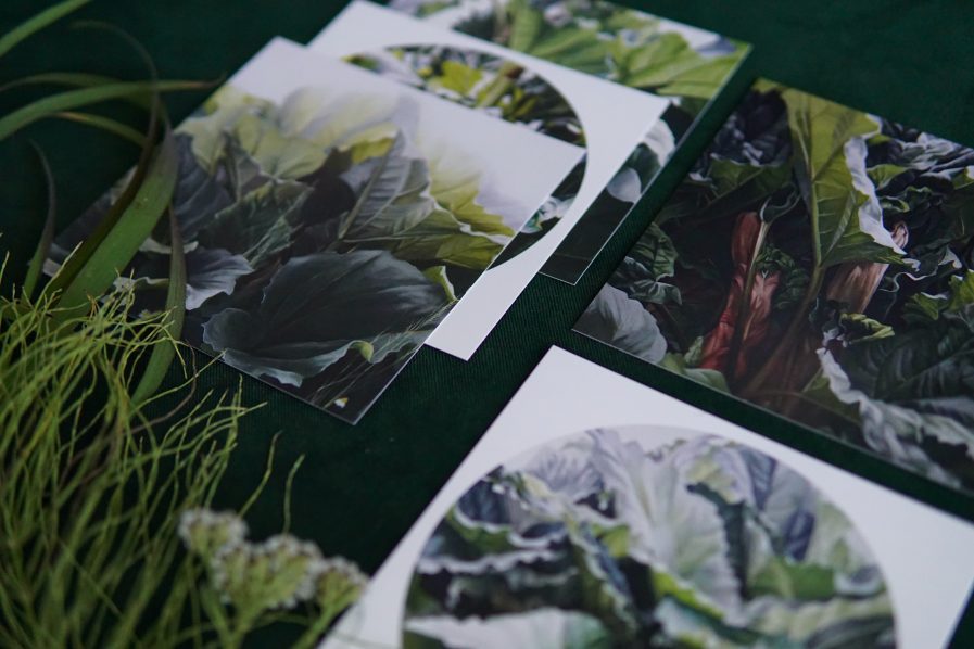 Ieva Kampe Krumholca Botanical paintings - greeting card set of 5 RHUBARB