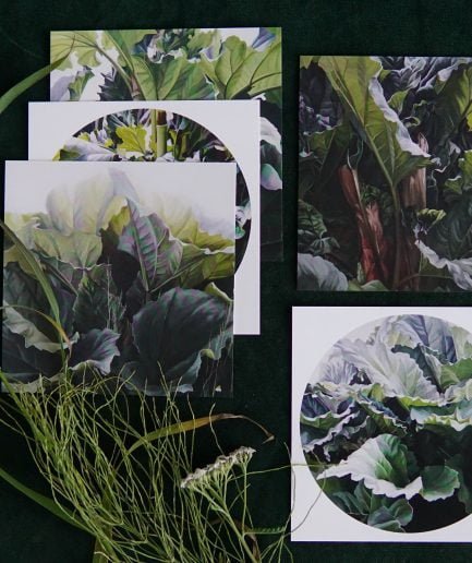 Ieva Kampe Krumholca Botanical paintings - greeting card set of 5 RHUBARB