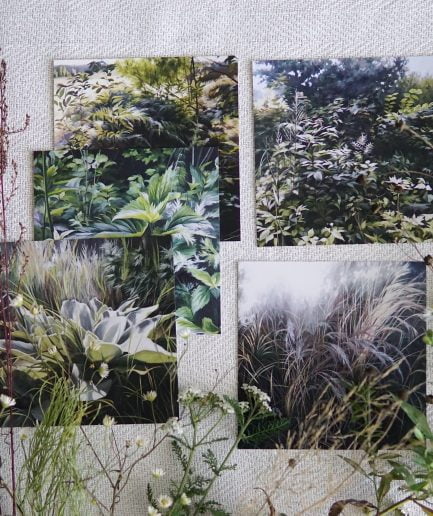 Ieva Kampe Krumholca Botanical paintings - greeting card set of 5 ROADSIDE PLANTS
