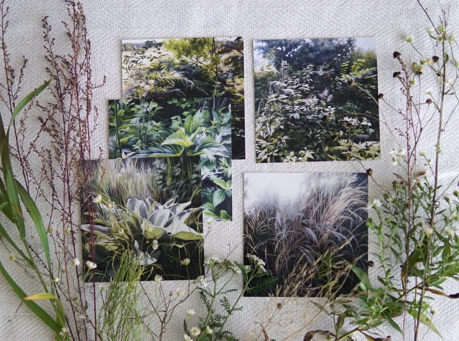 Ieva Kampe Krumholca Botanical paintings - greeting card set of 5 ROADSIDE PLANTS