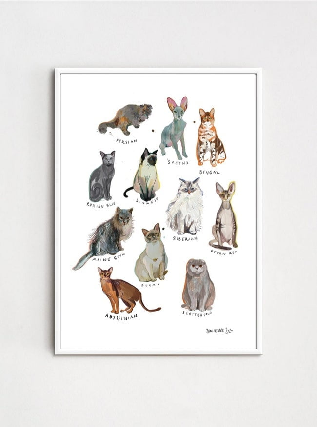 ZANE VELDRE Poster CATS