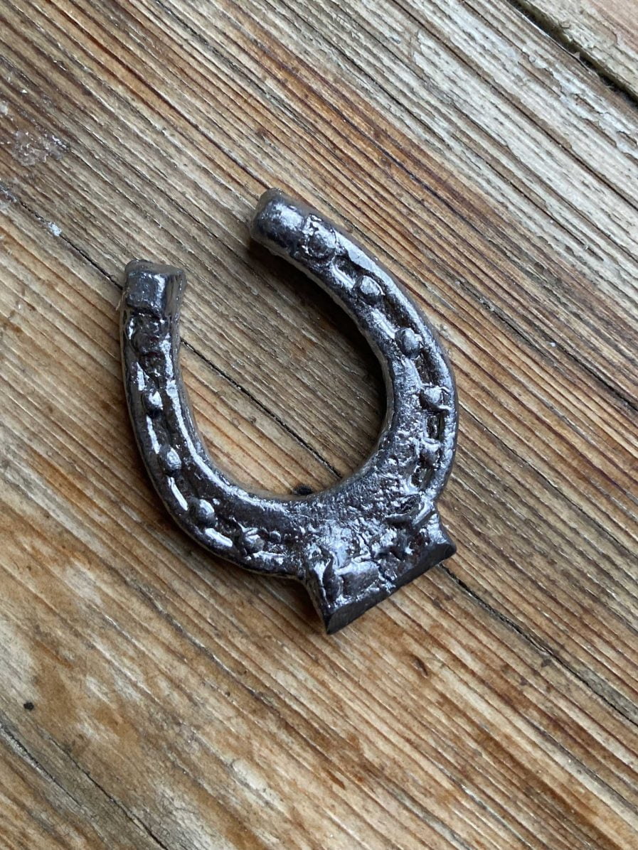 FORTUNE with a wish - Horseshoe