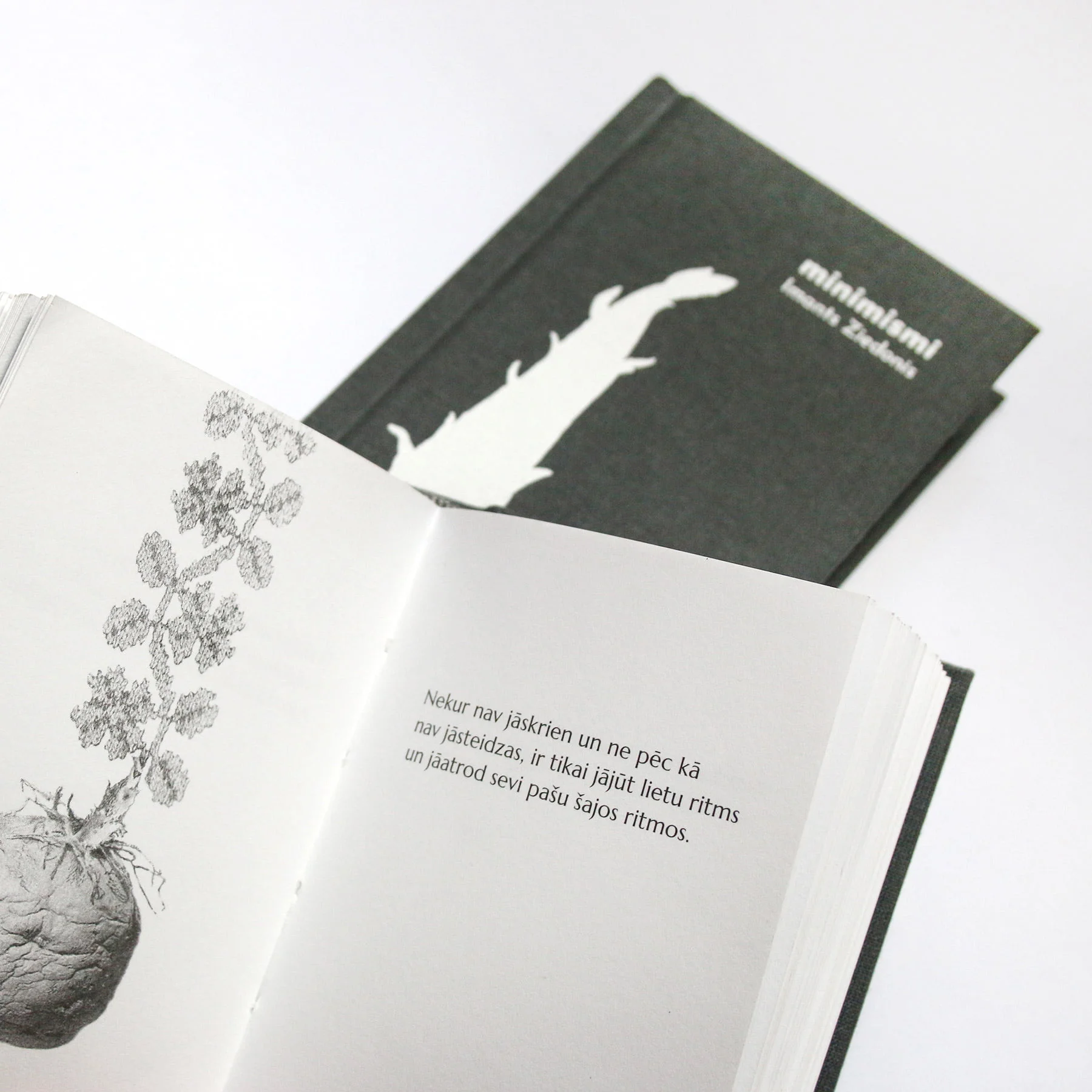 Imants Ziedonis "Minimismi" I