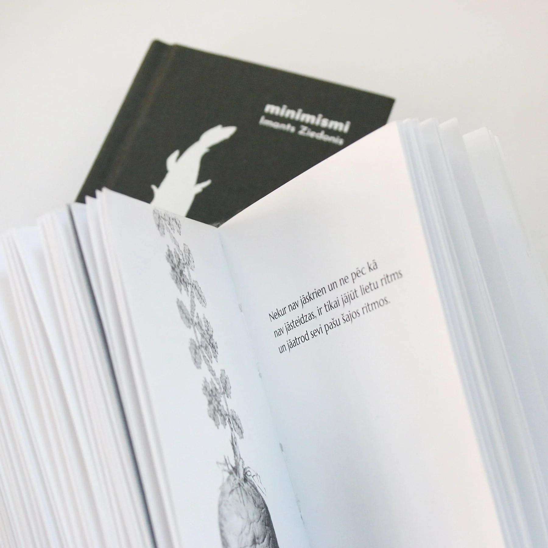 Imants Ziedonis "Minimismi" I