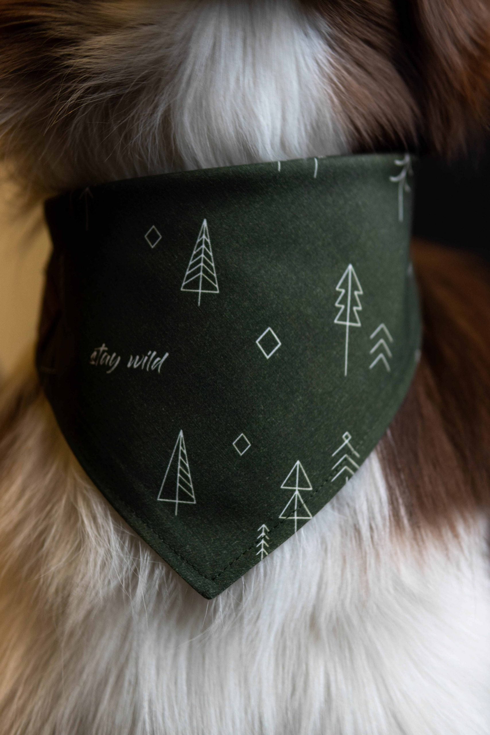 Dog Bandana - M50