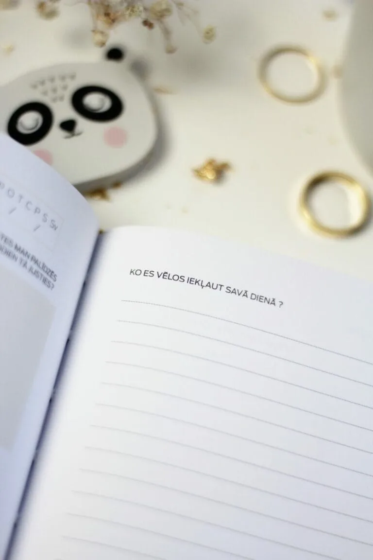 Seik-manifest-rita-dgramata-5 MANIFESTĒ SAVU SAPŅU DIENU – RĪTA DIENASGRĀMATA