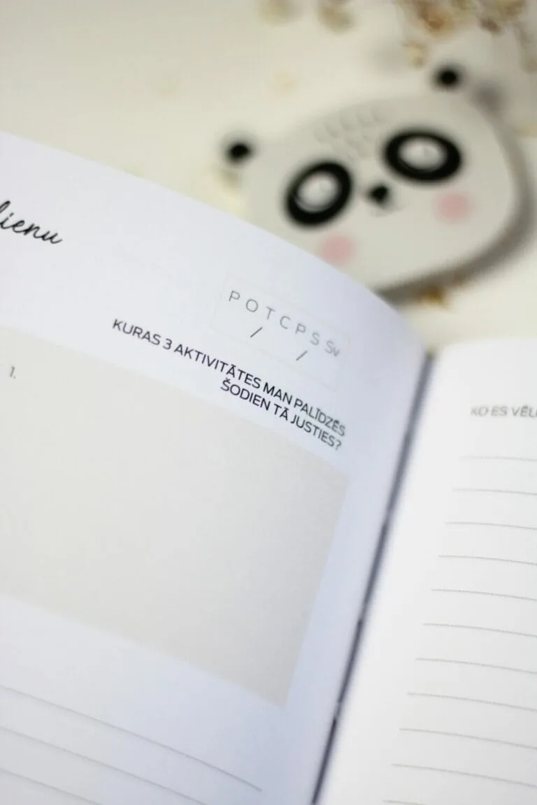 Seik-manifest-rita-dgramata-6 MANIFESTĒ SAVU SAPŅU DIENU – RĪTA DIENASGRĀMATA