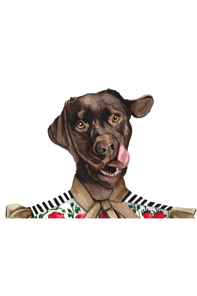 DressedFur A4 Plakāts Šokolādes labradora portrets