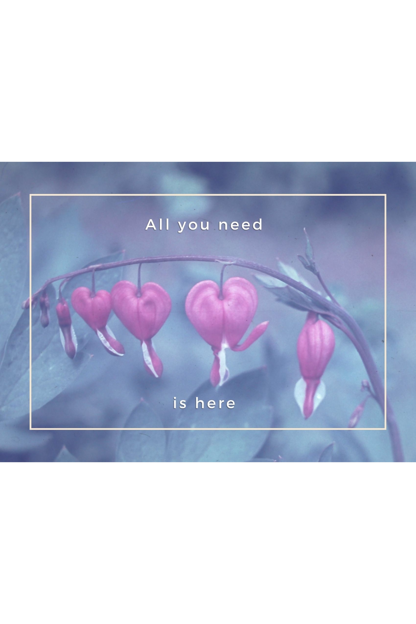Inta Filmm Boutique Postcard "All you need is here"