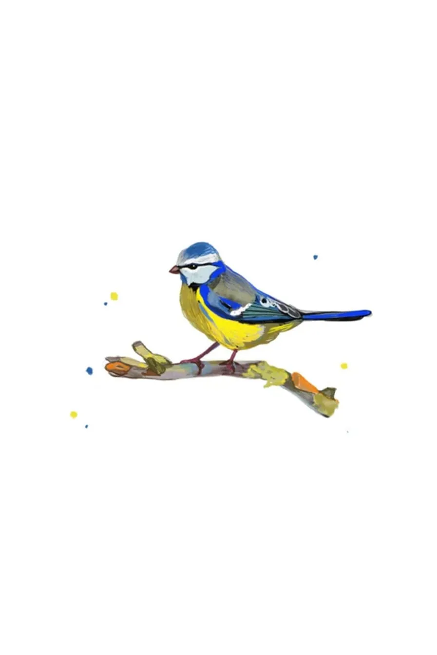 Zane Veldre Postcard BLUE CYLINDER