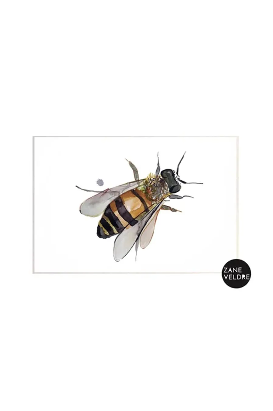 Zane Veldre Postcard BEE