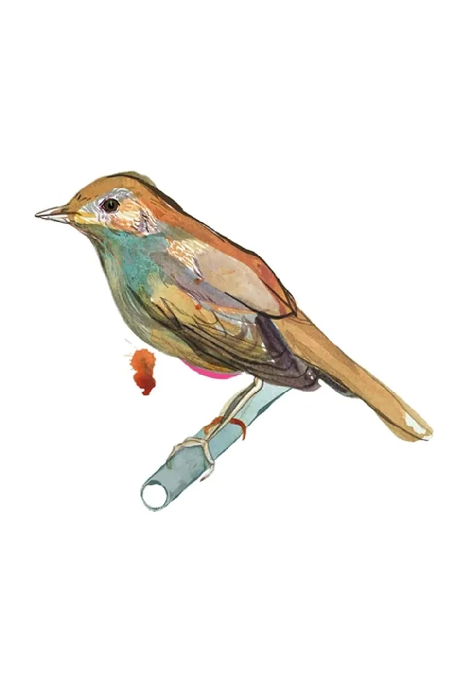 Zane Veldre Kartīte LAKSTĪGALA