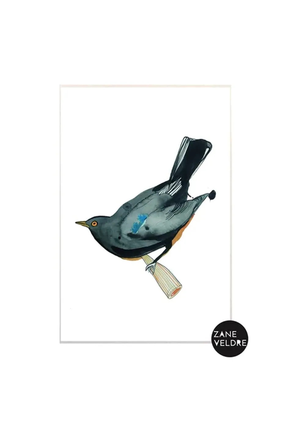 Zane Veldre Kartīte MELNAIS MEŽA STRAZDS