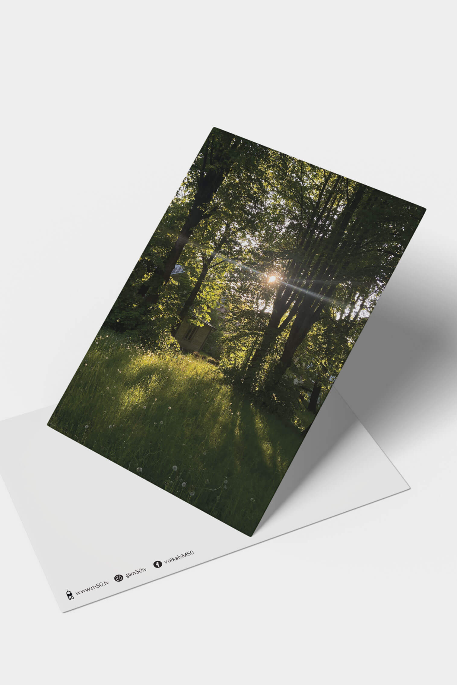 m50 postcard nadina simona van der beek latvia sun nature trees park