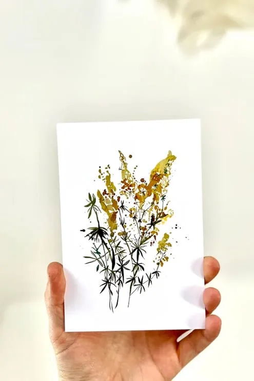 Zane Veldre Postcard