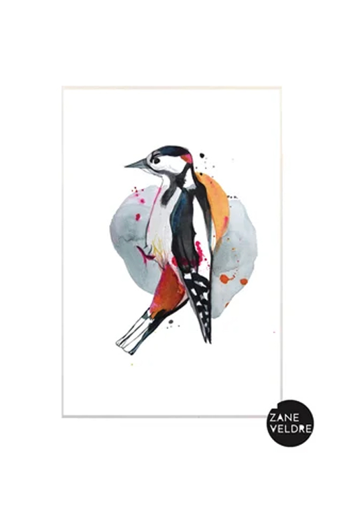 Zane Veldre Postcard | Woodpecker