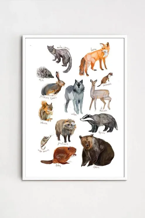 ZANE VELDRE Poster | Wild Animals