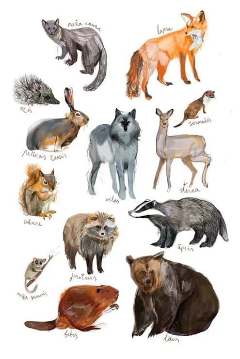 ZANE VELDRE Poster | Wild Animals