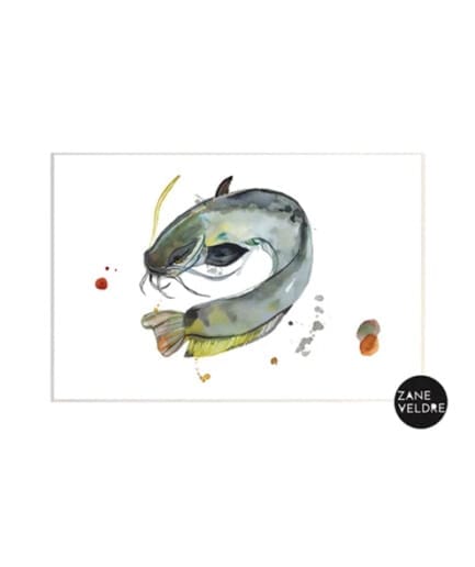 Zane Veldre Postcard | Catfish