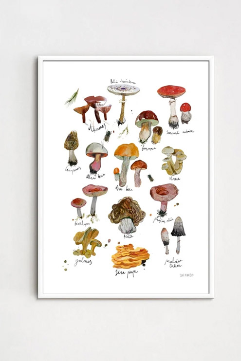 ZANE VELDRE Poster | Mushrooms