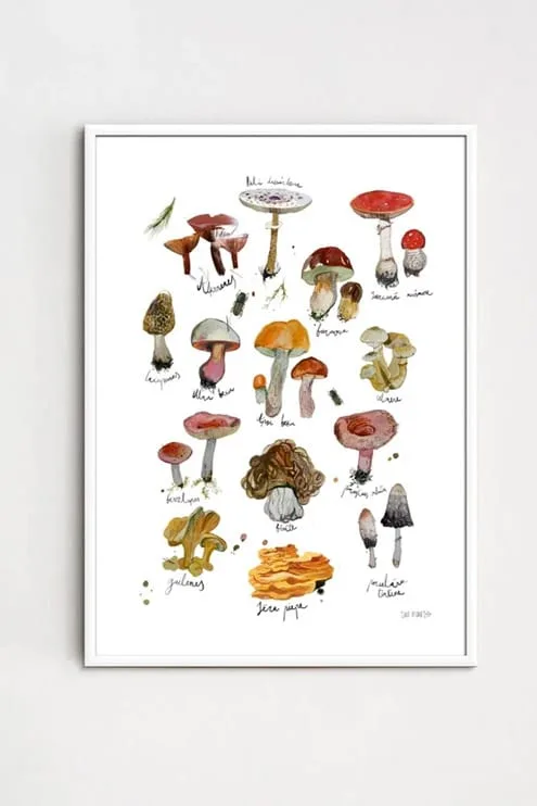 ZANE VELDRE Poster | Mushrooms