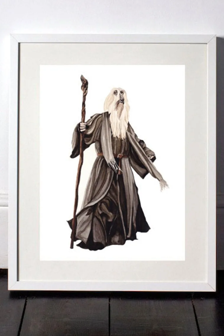 Dressedfur Cat LOTR geek edition - Gandalf