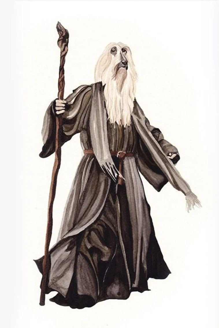 Dressedfur Cat LOTR geek edition - Gandalf