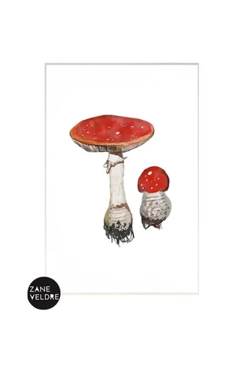 Zane Veldre Postcard | Fly agaric