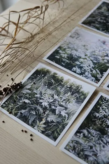 Ieva Kampe Krumholca Kartīšu komplekts | "Dzīles" (6 gab)