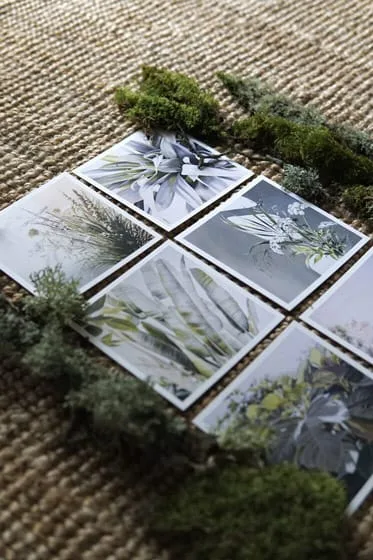 Ieva Kampe Krumholca Card set | "Into depths" 6 pcs