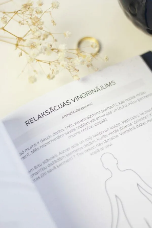 SEIK - Sakārto domas pirms gulētiešanas - vakara dienasgrāmata