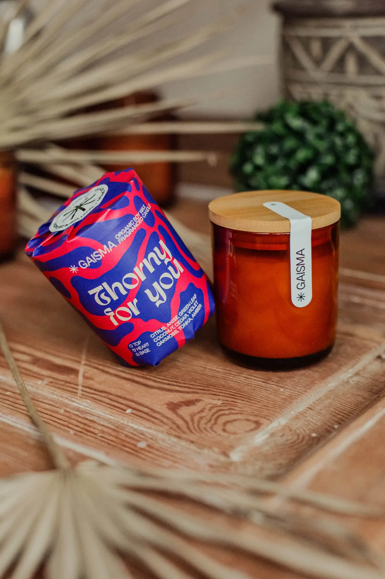 Sojas Vaska Svece GAISMA