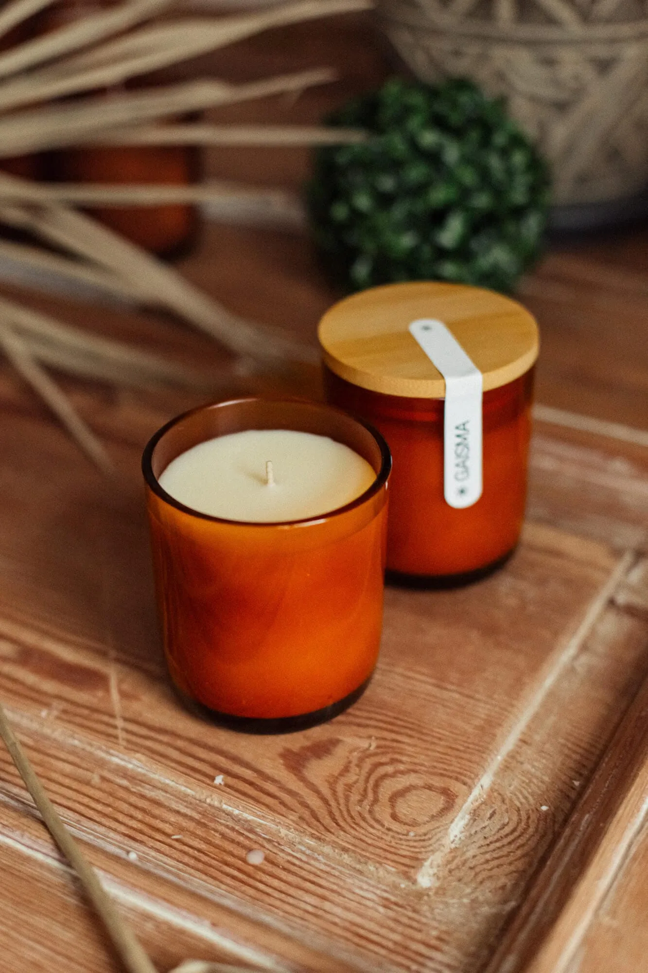 sojas-vaska-svece-gaisma-16 Sojas Vaska Svece GAISMA