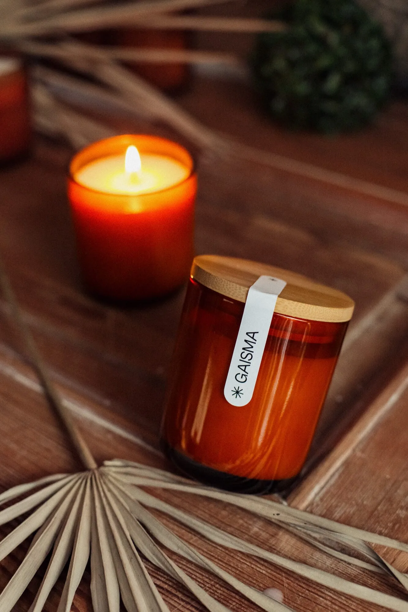 Sojas Vaska Svece GAISMA