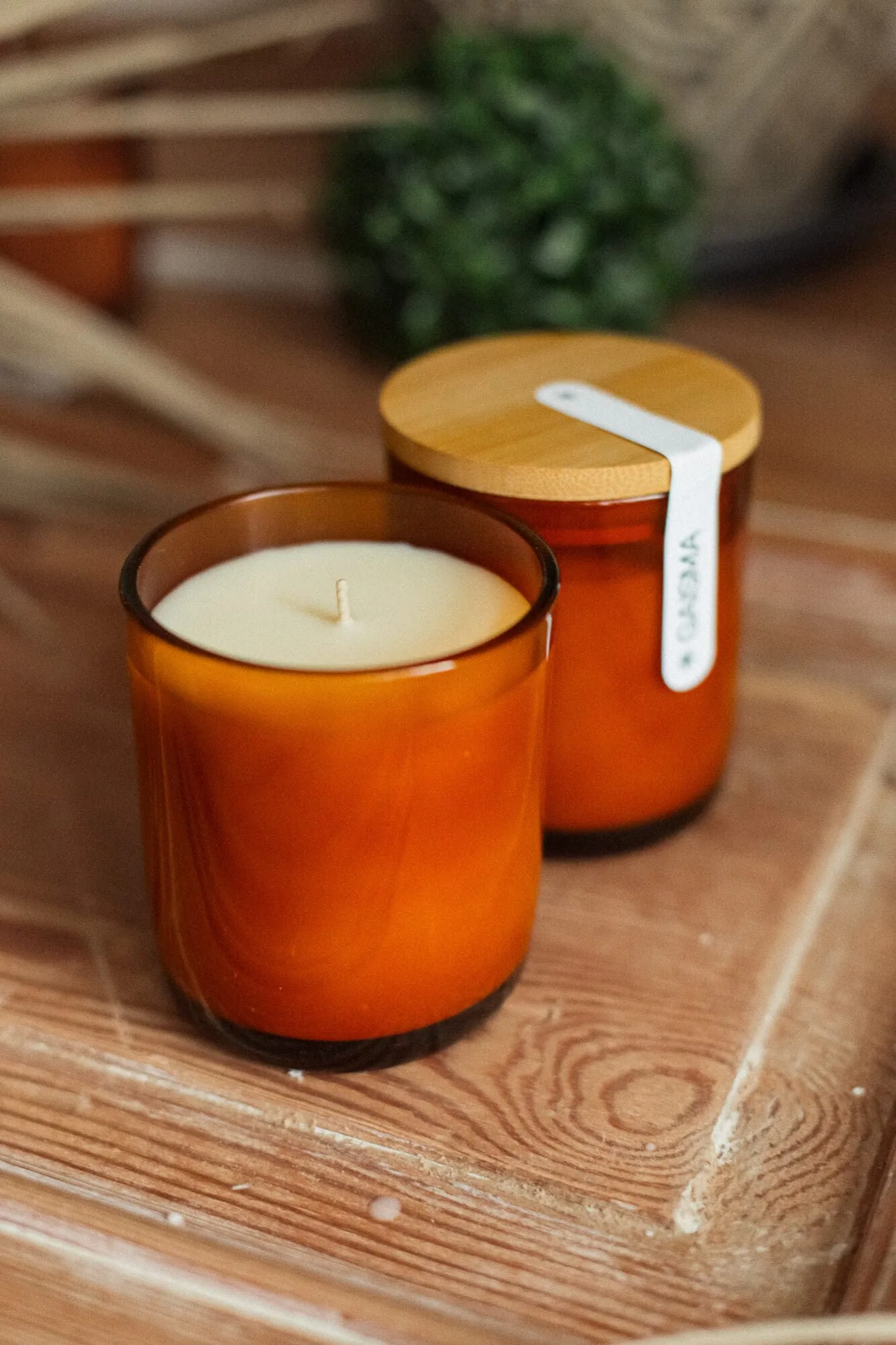 Sojas Vaska Svece GAISMA