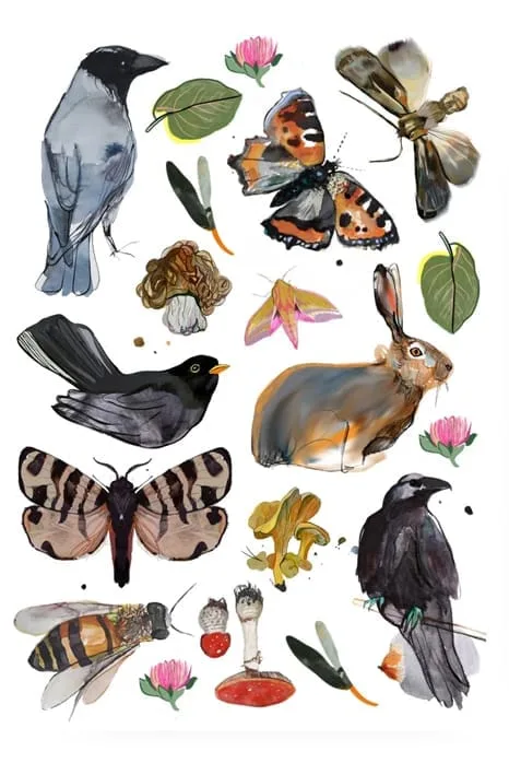 Zanes Veldres Stickers | Forest