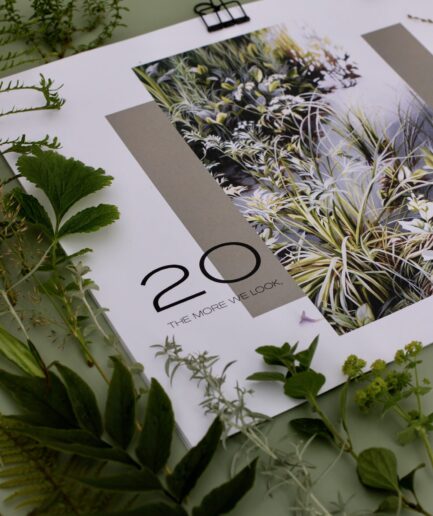 Ieva Kampe Krumholca 2026. GADA AUGU GLEZNU SIENAS KALENDĀRS