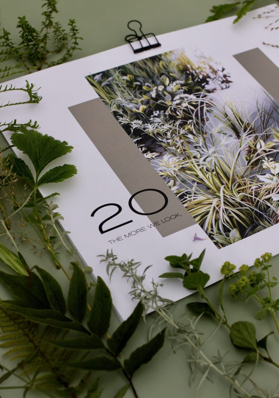 Ieva Kampe Krumholca 2026. GADA AUGU GLEZNU SIENAS KALENDĀRS