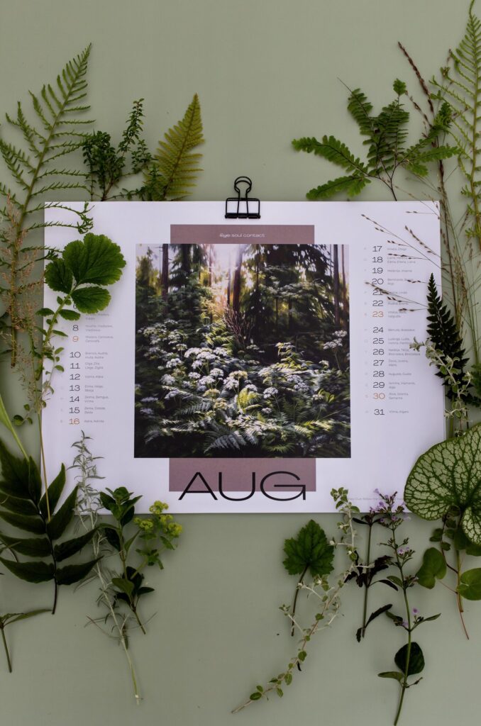 Ieva KAmpe Krumholce kalendars 2026 gads m50