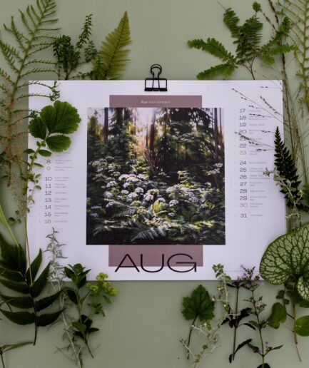 Ieva Kampe Krumholca 2026. GADA AUGU GLEZNU SIENAS KALENDĀRS