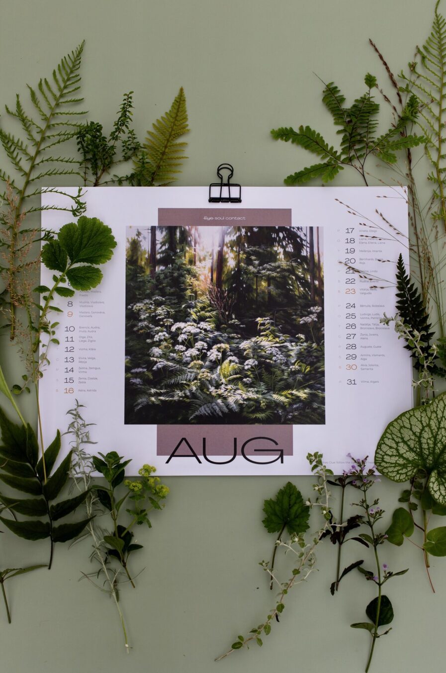 Ieva Kampe Krumholca 2026. GADA AUGU GLEZNU SIENAS KALENDĀRS